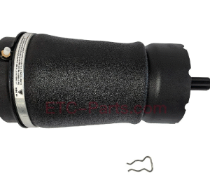 Rear Wheel Bearing7131509100