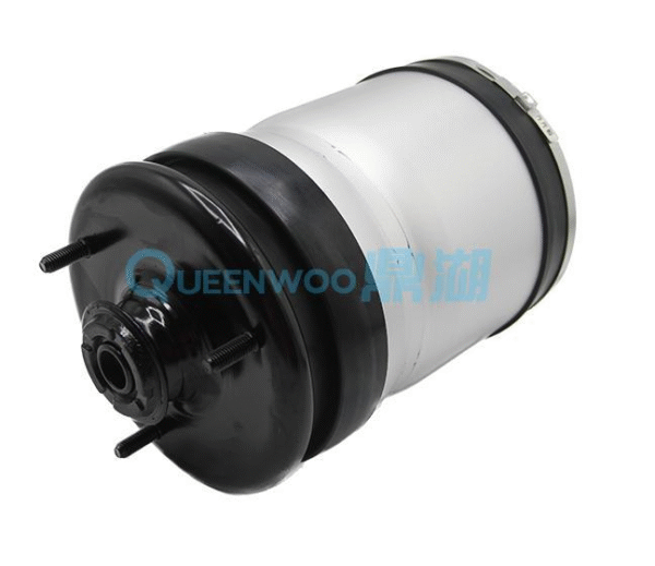 Air Spring Repair Kit21DCNJ83AHA