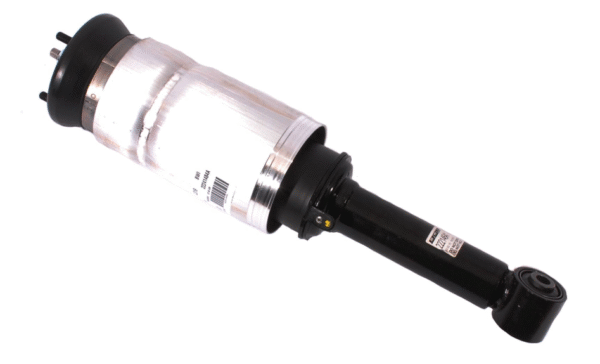Rear Shock Absorber (Right)21DCNH81BFQ