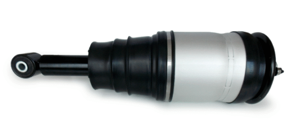 Rear Shock Absorber (Left)21DCNH82BFQ