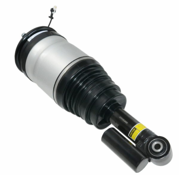Rear Shock Absorber (Left)21DCNH85BFQ