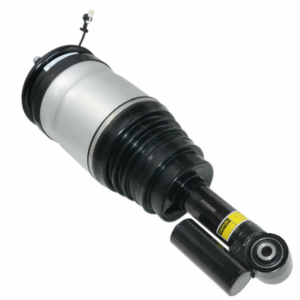 Rear Shock Absorber (Left/Right)21DCNH87BFQ