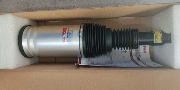 Air Suspension Strut (Rear/Non-electrified)E890003010