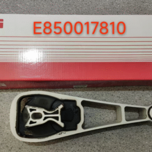 Front Lower Trailing Arm (Right)E821150110