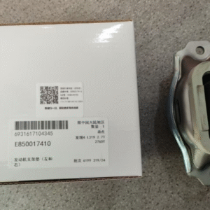 Front Lower Control Arm (Left)E821150710